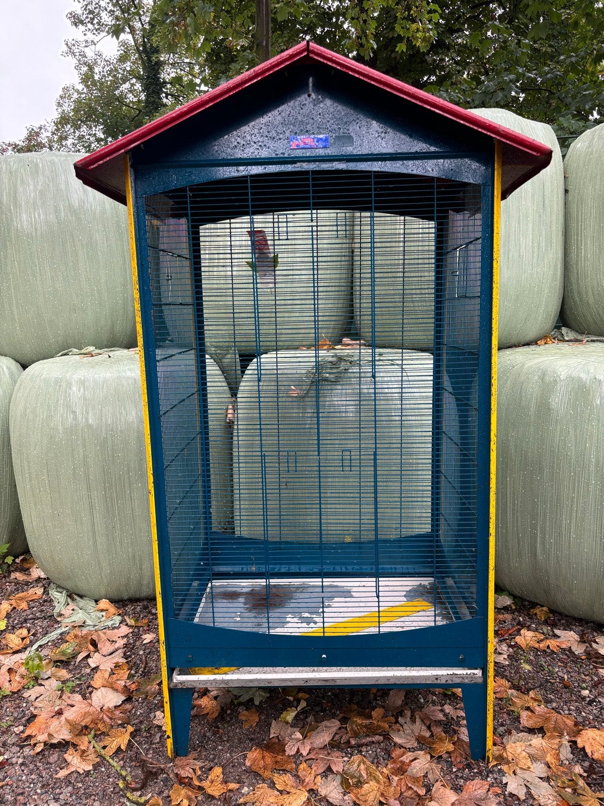 Vogelvolière te koop, Ophalen, Gebruikt, Metaal, Vogelkooi