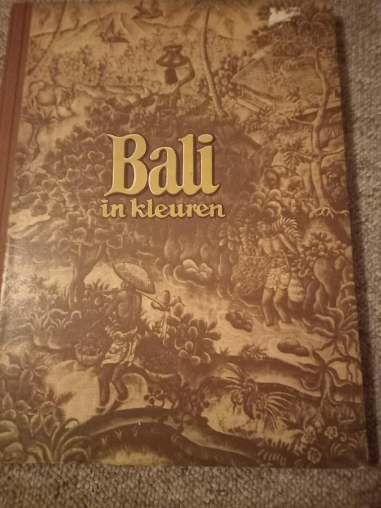 Bali in Kleuren - Prachtig Geïllustreerd Boek, Overige merken, Ophalen of Verzenden, Zo goed als nieuw, Reisgids of -boek