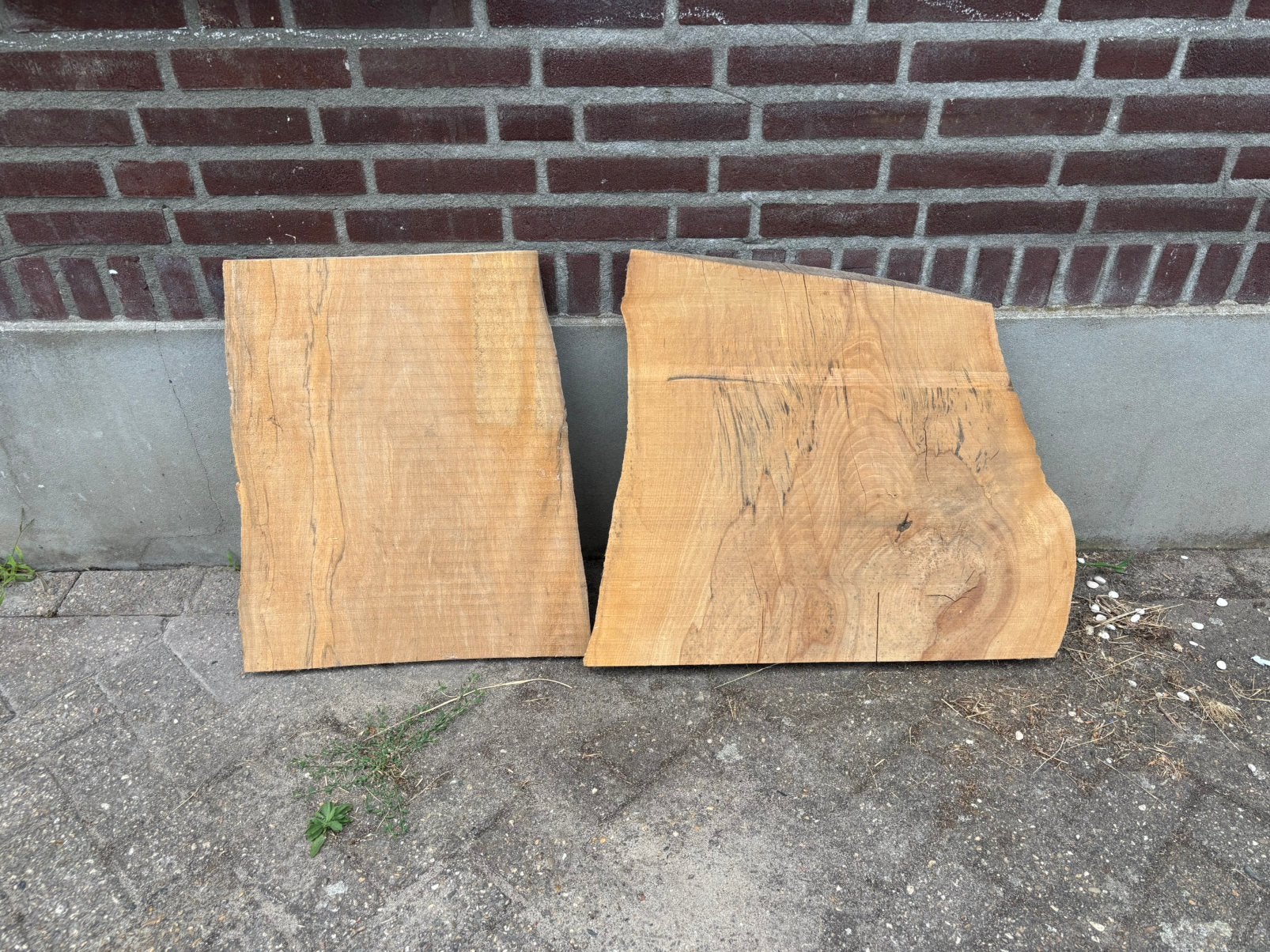 Schaaldeel stukken, Ophalen, Minder dan 25 mm, Zo goed als nieuw, Plank
