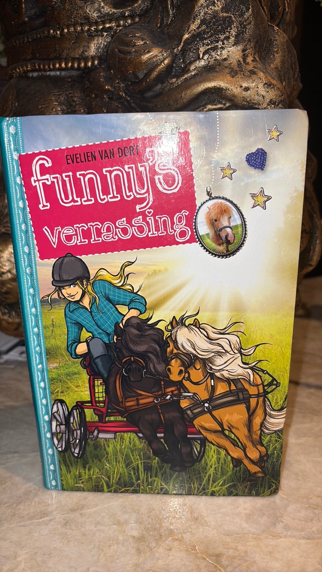 Evelien van Dort - Funny's verrassing Serie Funny, Gelezen, Fictie algemeen, Ophalen of Verzenden, Evelien van Dort