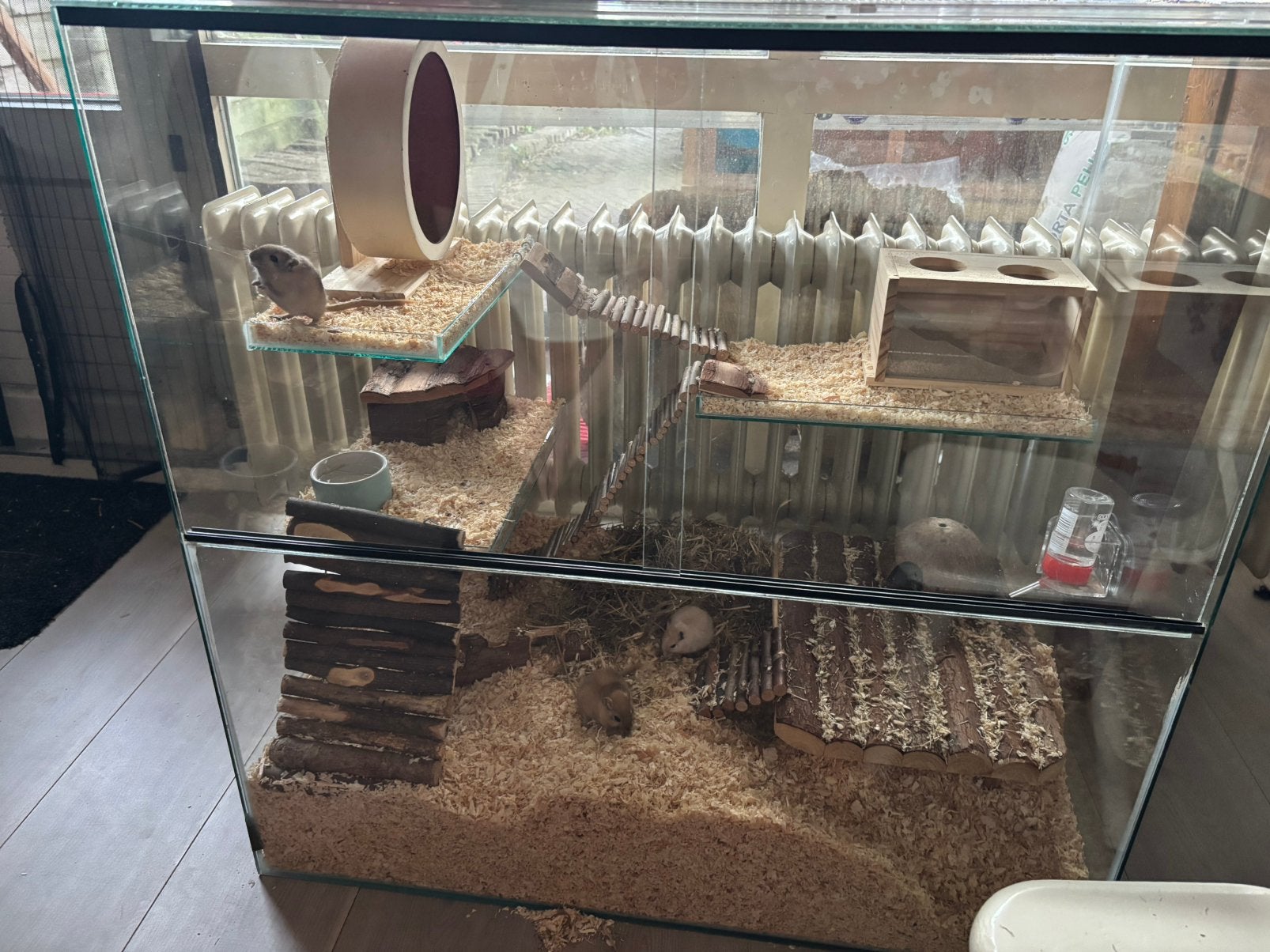 Gerbillarium(geschikt voor gerbils en hamster), Ophalen, Gebruikt, 60 tot 90 cm, Minder dan 75 cm