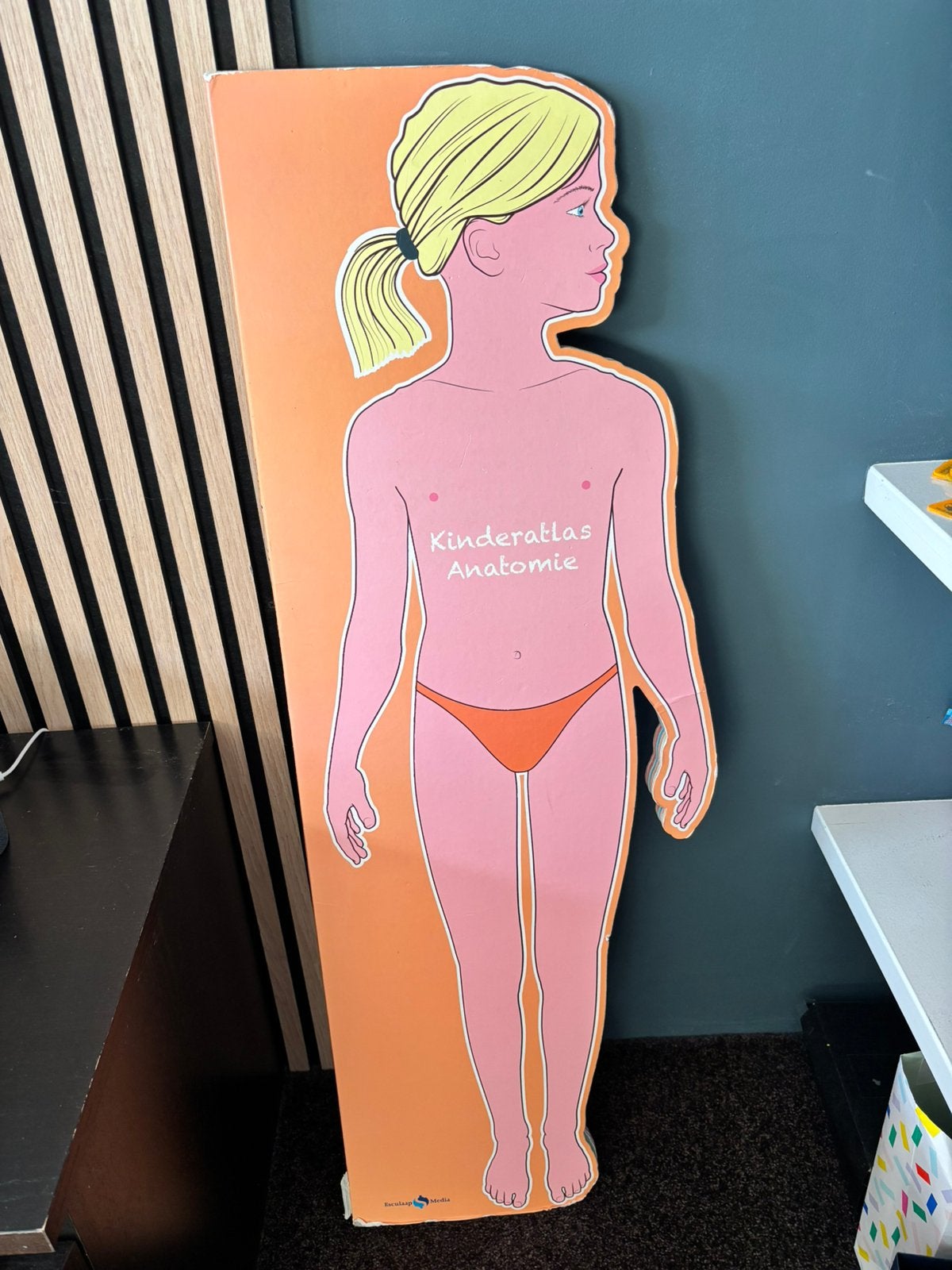 Gratis Kinderatlas anatomie, Ophalen, Gelezen