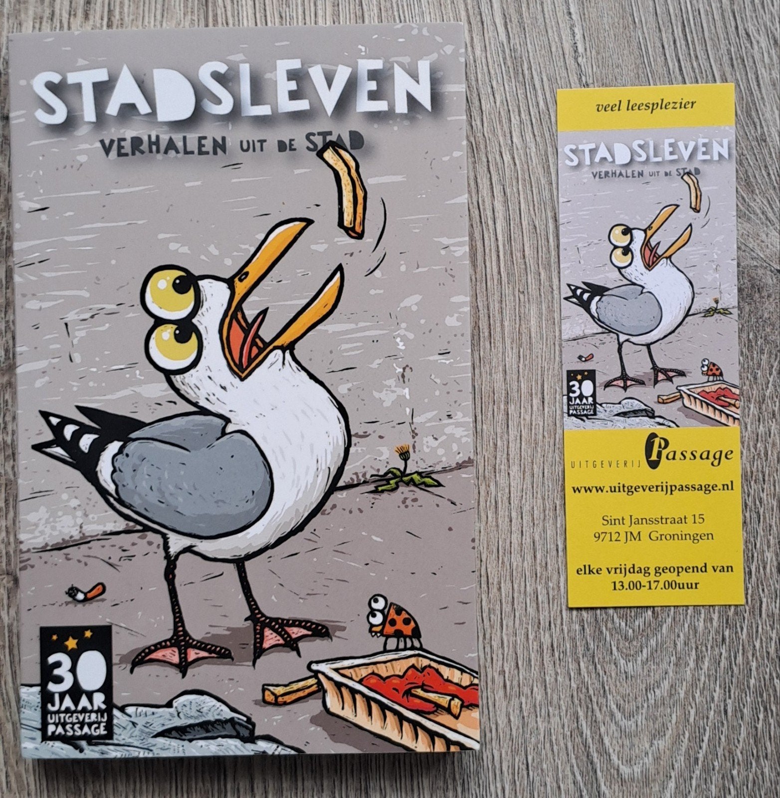 Stadsleven - Groningen / Gesigneerd Diana Ozon + opdracht, Ophalen of Verzenden, Zo goed als nieuw