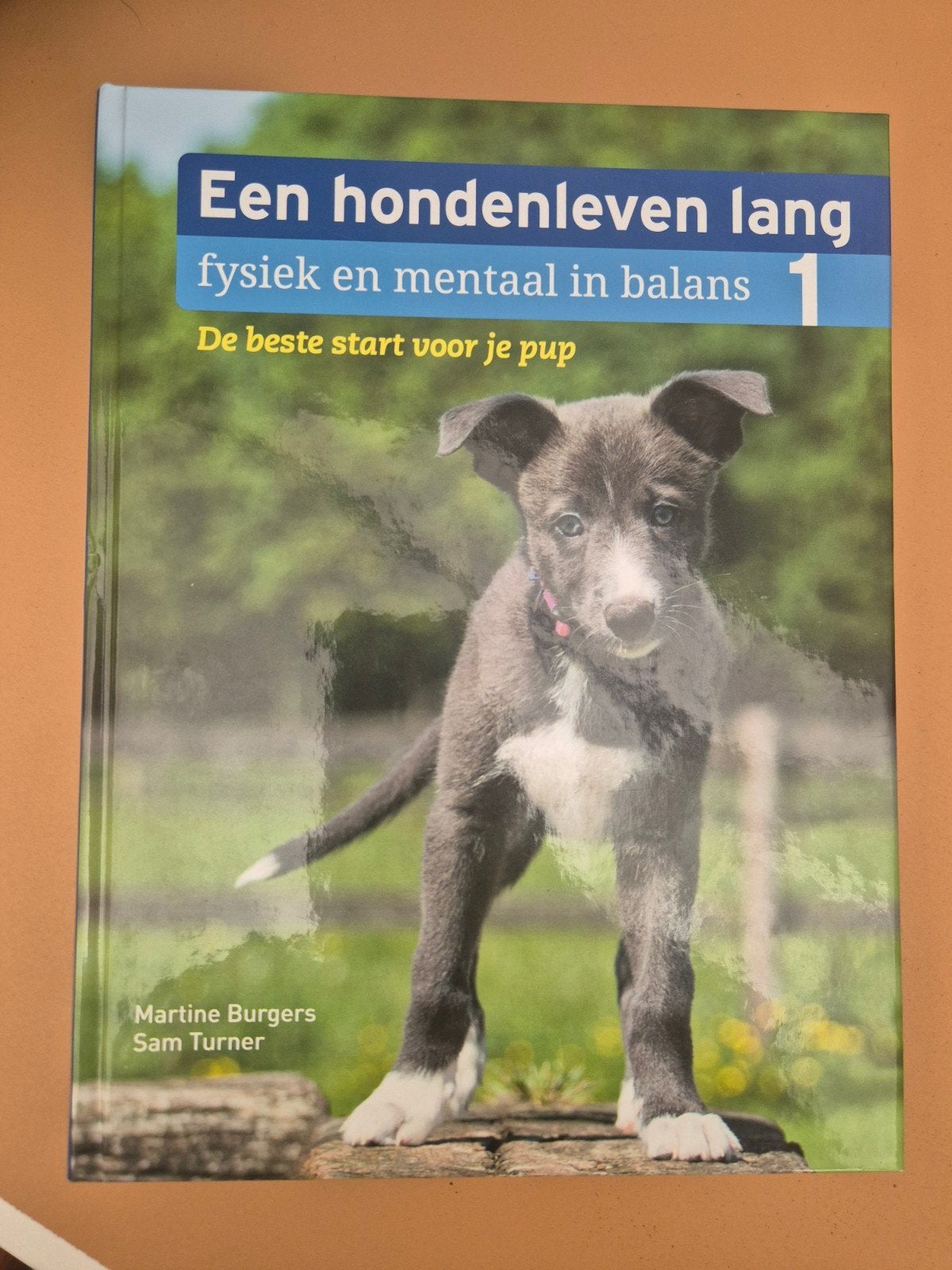 Een hondenleven lang: fysiek en mentaal in balans, Boeken, Ophalen of Verzenden, Nieuw, Honden, Martine Burgers, Sam Turner