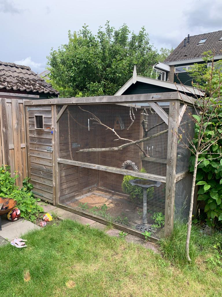 Voldux voliere, Dieren en Toebehoren, Vogels | Hokken en Kooien, Ophalen, Gebruikt, Hout, Volière