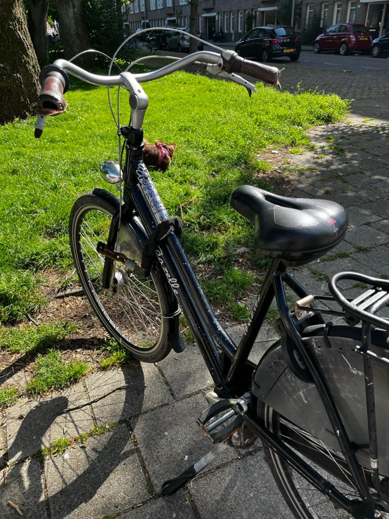Gazelle fiets - Stevige stadsfiets, Fietsen en Brommers, Fietsen | Dames | Damesfietsen, Velgrem, Versnellingen, Ophalen of Verzenden