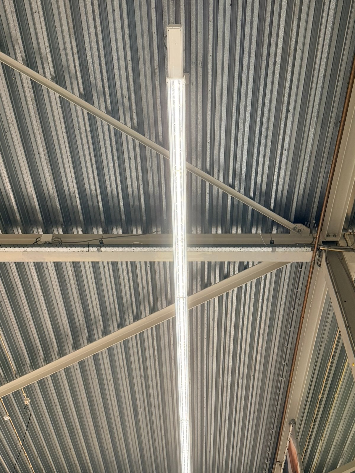 41 meter Philips Led verlichting, Ophalen of Verzenden, Zo goed als nieuw, Minder dan 50 watt
