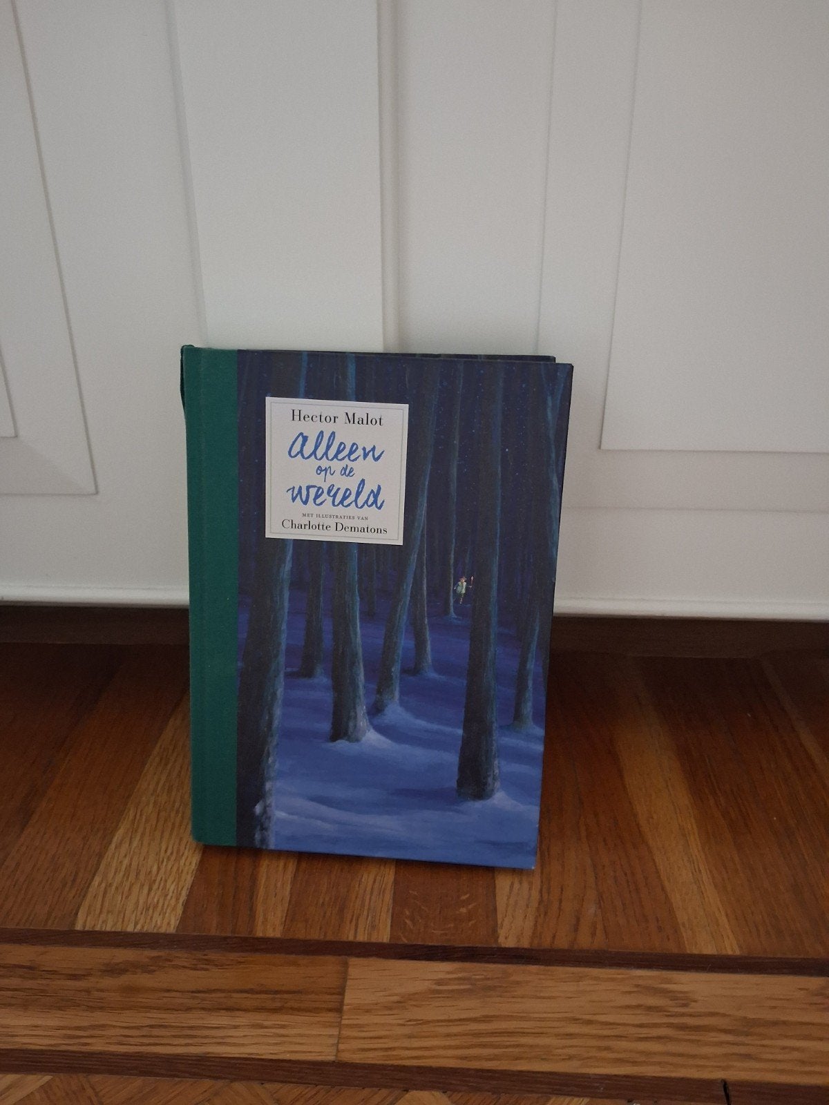 Hector Malot - Alleen op de wereld, Boeken, Ophalen of Verzenden, Zo goed als nieuw, Hector Malot; Tiny Fisscher