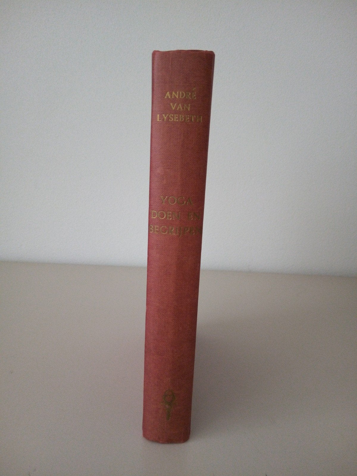 Yoga Doen en Begrijpen - André Van Lysebeth, Boeken, Gelezen, Meditatie of Yoga, Ophalen of Verzenden, André Van Lysebeth