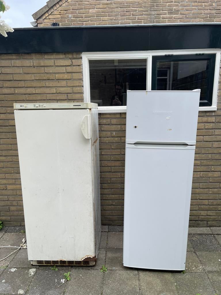 Gratis ophalen zsm, Ophalen, 200 liter of meer, Met aparte vriezer, 160 cm of meer