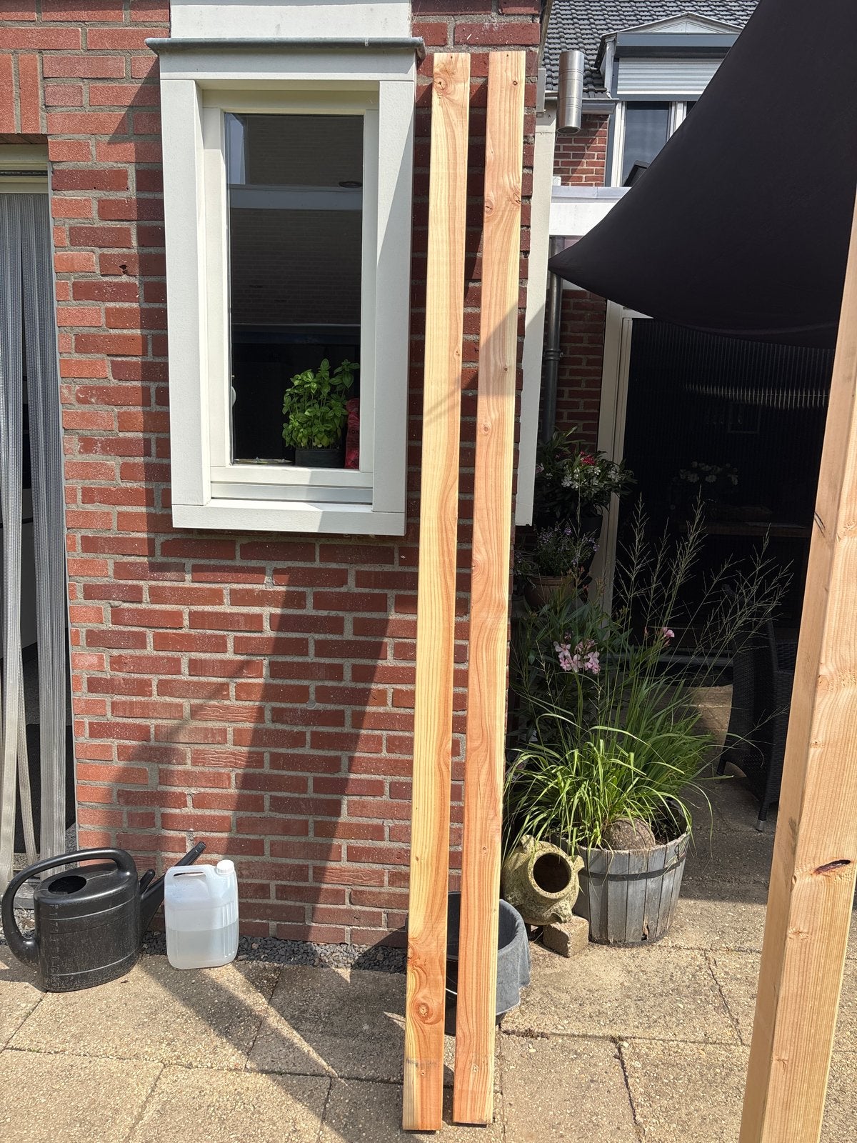 Houten Douglas balken, nieuw, 2 stuks, Ophalen, Nieuw, 200 tot 250 cm, 50 mm of meer