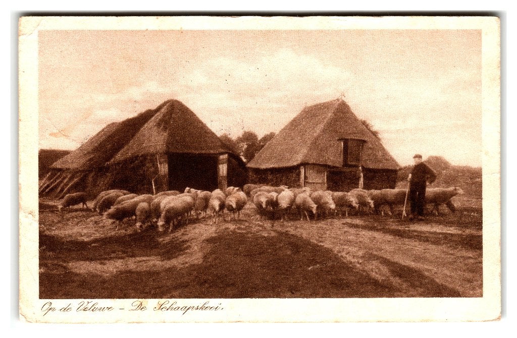 Veluwe, De Schaapskooi - Op de Veluwe, Ophalen of Verzenden, 1920 tot 1940, Gelopen, Gelderland