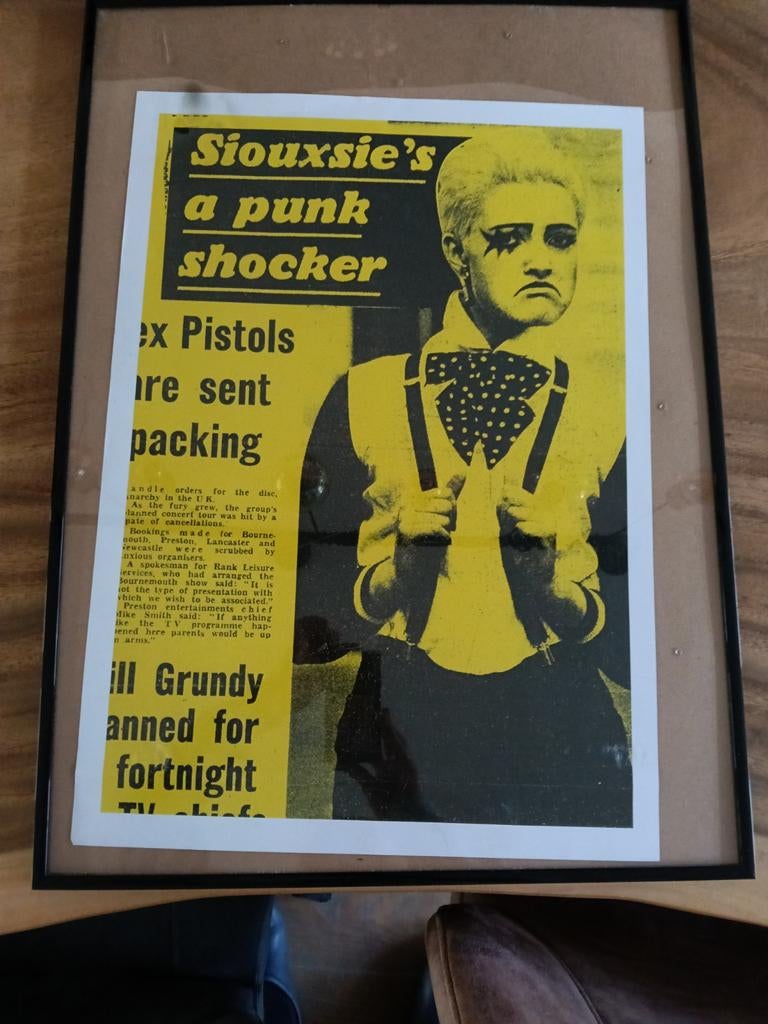 Siouxsie and the Banshees, Ophalen of Verzenden, Gebruikt, A1 t/m A3, Film en Tv