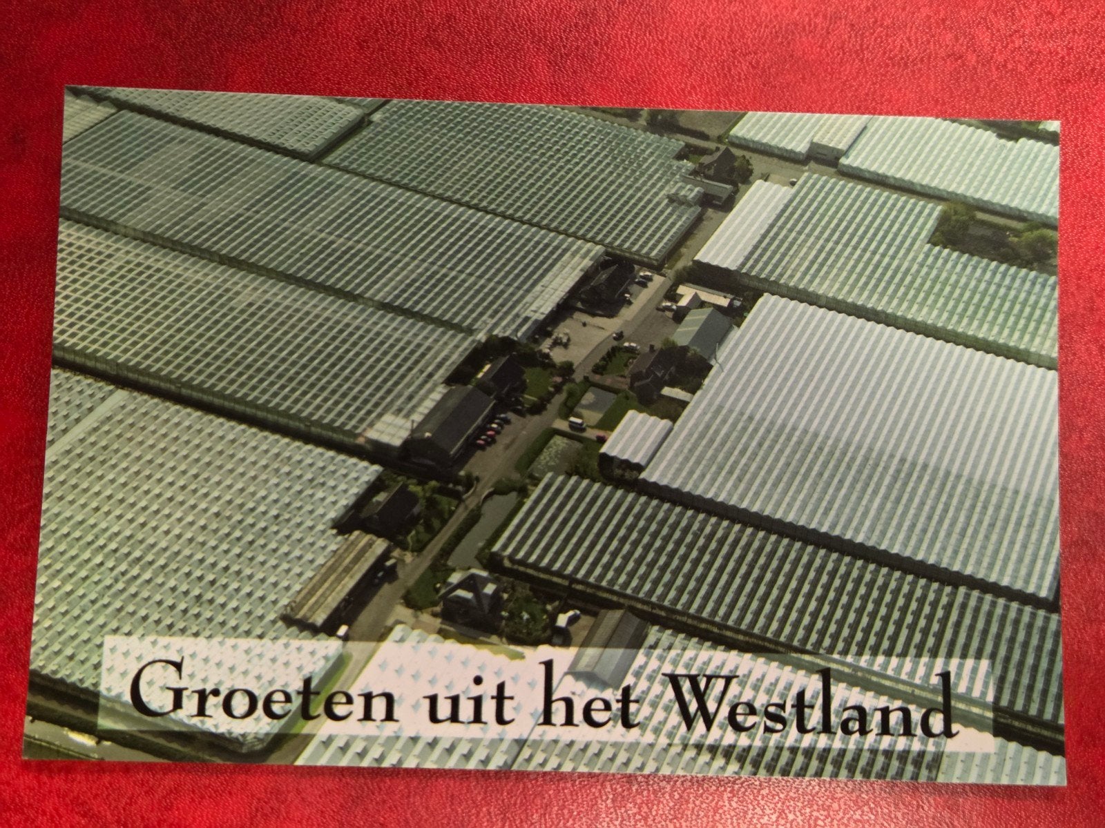 Monster de Lier Westland Panorama Kassen, Ophalen of Verzenden