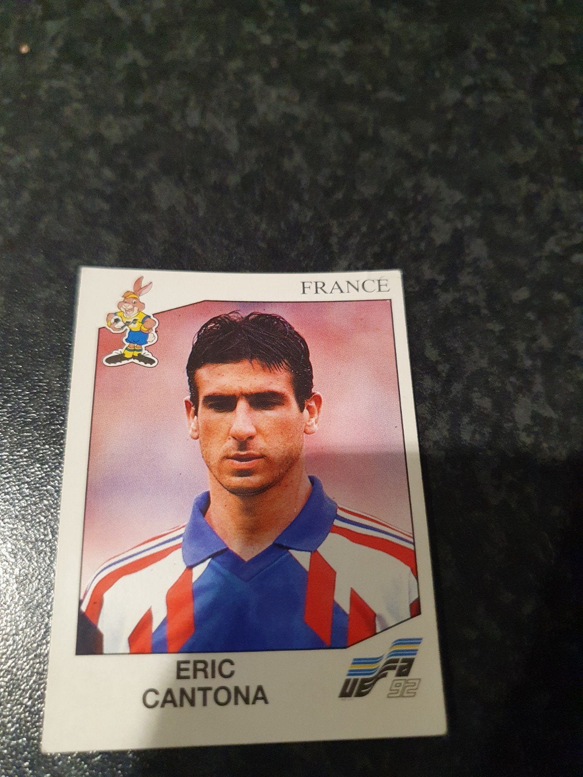Panini Euro 92, Ophalen of Verzenden, Zo goed als nieuw, Sticker