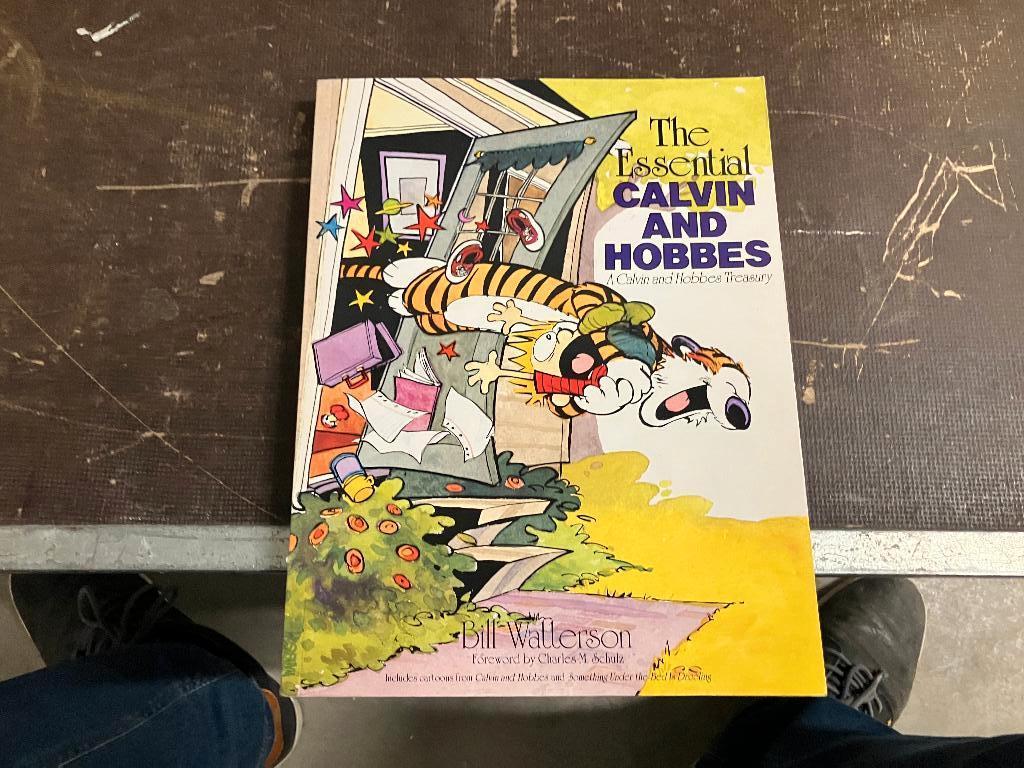 Casper en Hobbes, Eén stripboek, Ophalen of Verzenden, Zo goed als nieuw, Bill watterson
