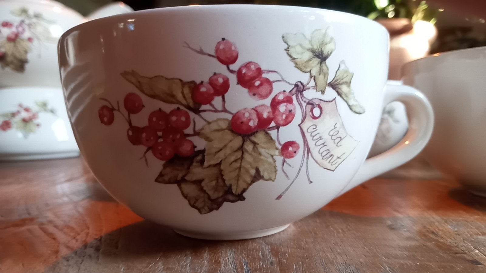 servies jet ter steege red currant, Ophalen of Verzenden