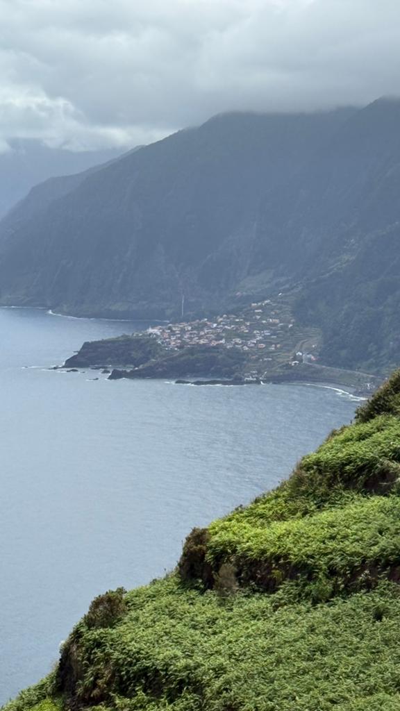 Madeira vakantie Funchal Bay Boutique Suites, Vakantie, Vakantiehuizen | Portugal, Internet, Aan zee, Eigenaar, Stad