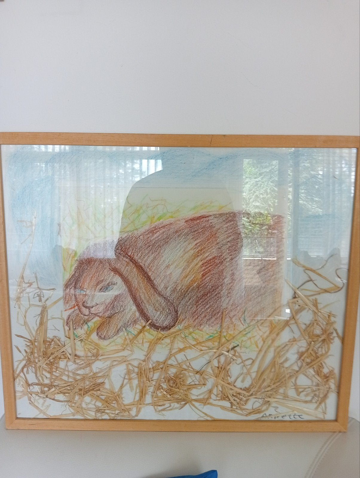 Tekening Konijn met echt stro, Ophalen of Verzenden