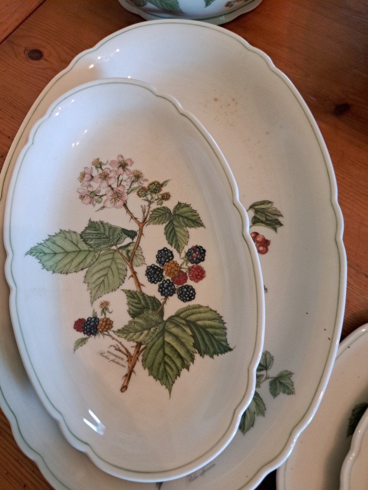 Wedgwood Botanic Garden servies - Compleet servies, Ophalen, Overige merken, Klassiek, Nieuw