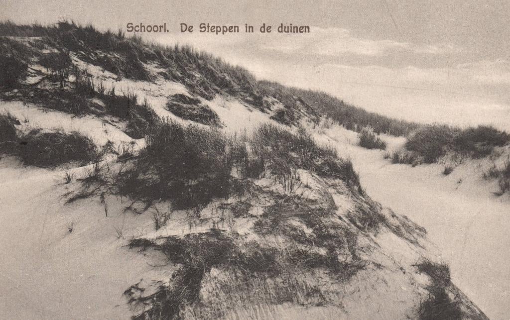 Schoorl, de Steppen in de duinen (1931) 131089, Ophalen of Verzenden, 1920 tot 1940, Gelopen, Noord-Holland