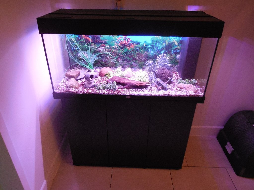 start-klare complete juwel rio 180 + toebehoren/inrichting, Ophalen, Gebruikt, Leeg aquarium, Verwarming