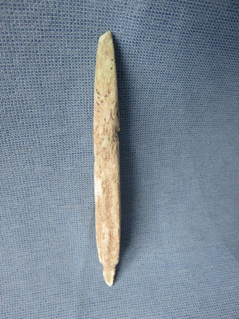 Steentijd - pijlpunt in been - ca. 6000 - 15000 jaar oud, Antiek en Kunst, Ophalen of Verzenden