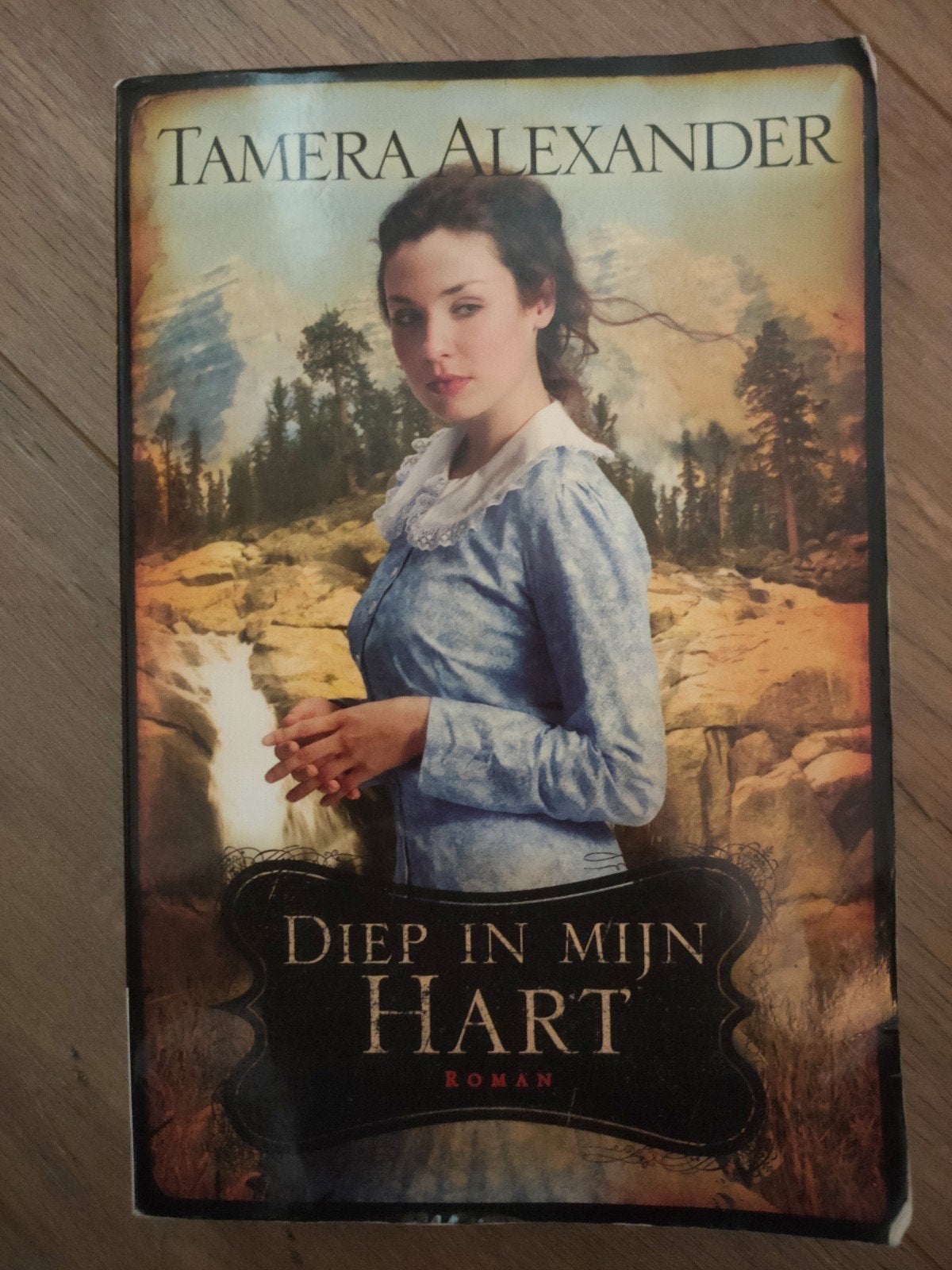 Diep in mijn hart - Tamera Alexander (Roman), Ophalen of Verzenden, Zo goed als nieuw, Tamera Alexander, Wereld overig