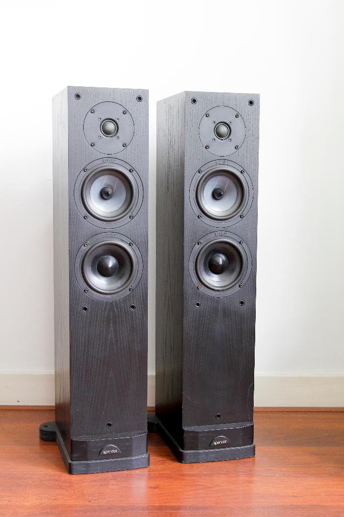 Spendor S5E zuilen. Scheurtje in woofer, Audio, Tv en Foto, Luidsprekers, Gebruikt, Front, Rear of Stereo speakers, 60 tot 120 watt