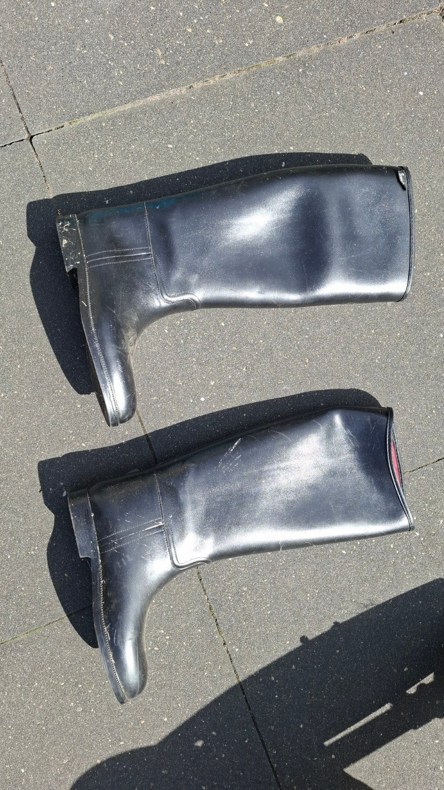 swing paardrijlaarzen, Dieren en Toebehoren, Paardrijkleding, Dressuur, Dames, Overige merken, Ophalen of Verzenden
