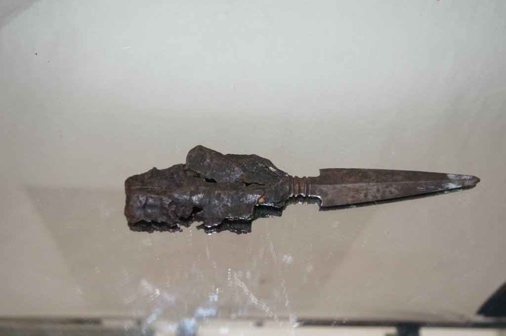 Speerpunt, Ophalen of Verzenden