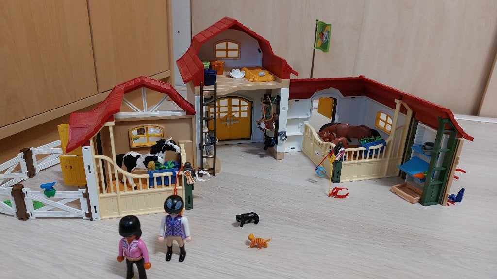 Paardrijclub playmobil, Kinderen en Baby's, Complete set, Overige typen, Ophalen of Verzenden, Zo goed als nieuw