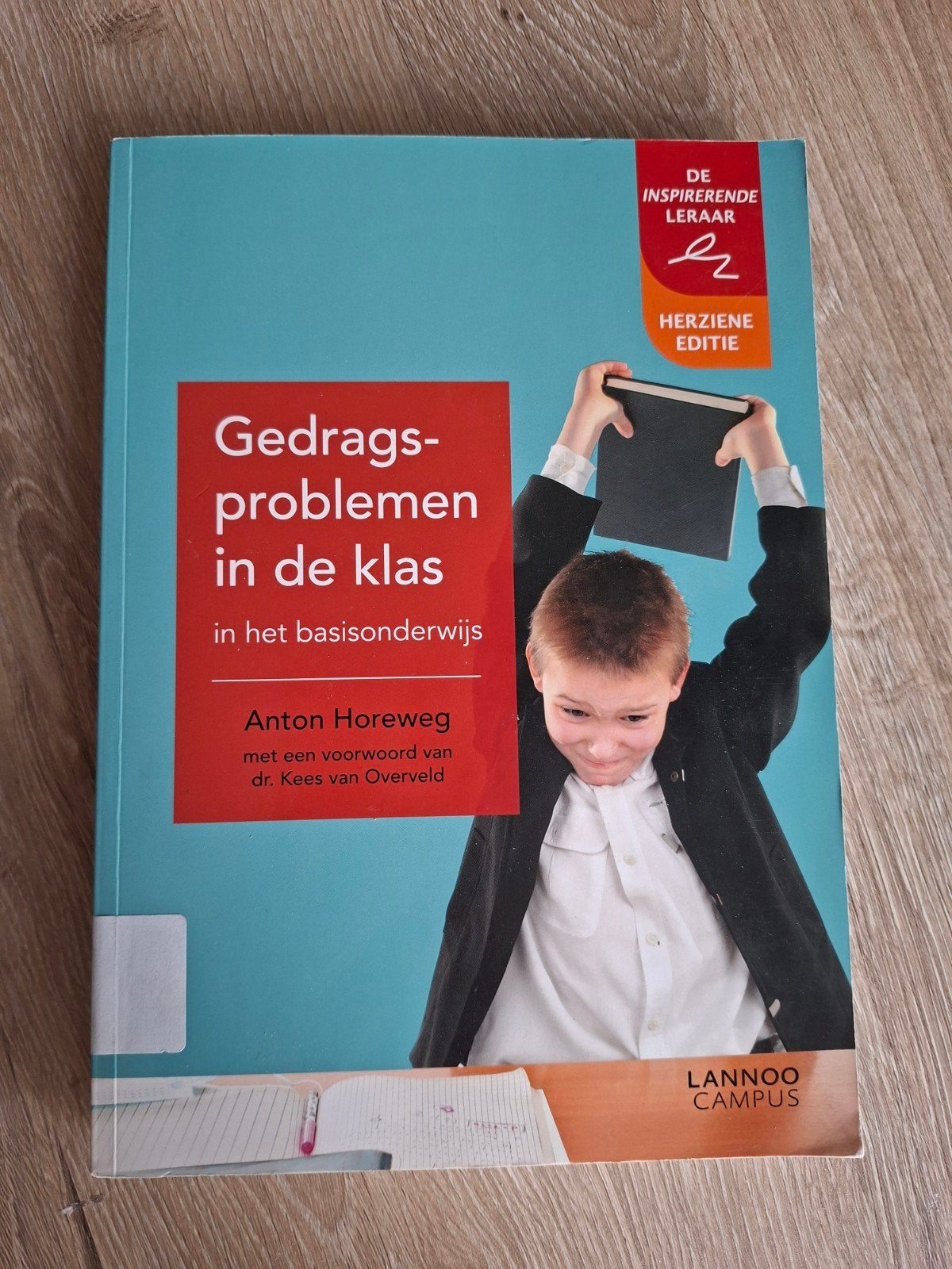 Gedragsproblemen in de klas - Anton Horeweg, Boeken, Studieboeken en Cursussen, Ophalen of Verzenden, Zo goed als nieuw, HBO