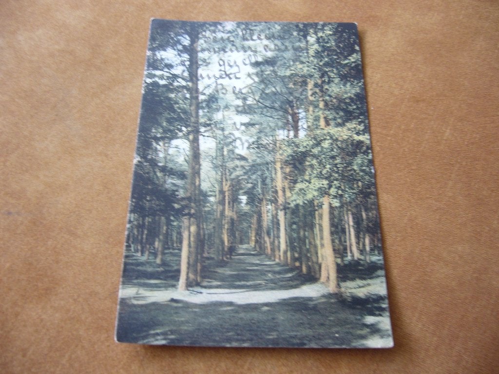 APELDOORN =  LAANTJE BIJ DE FORTEN KONINKLIJK PARK BRIEFK., Ophalen of Verzenden, Voor 1920, Gelopen, Gelderland