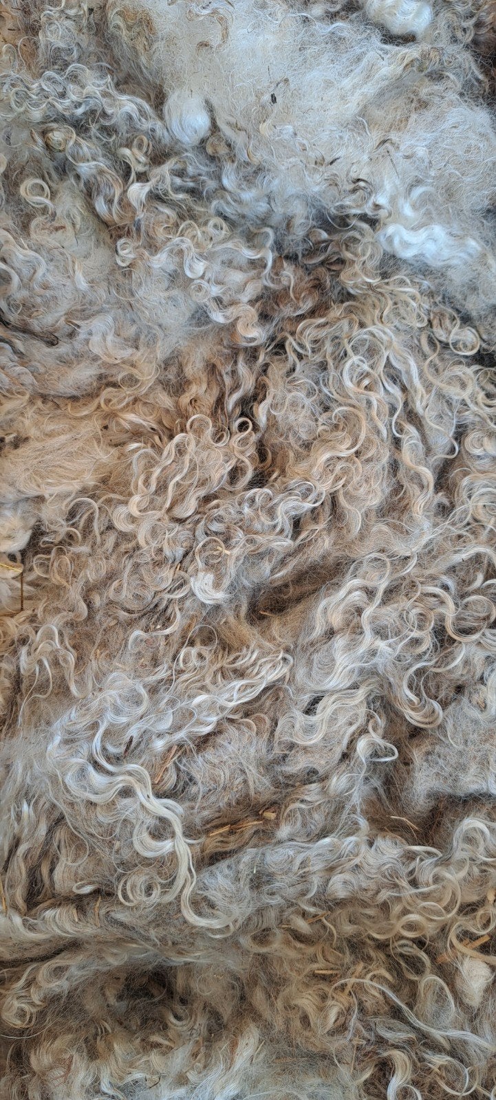 Mohair Angora Wol - 1.29 kg ruwe wol vacht 3, Wol, 120 cm of meer, Ophalen of Verzenden, Nieuw