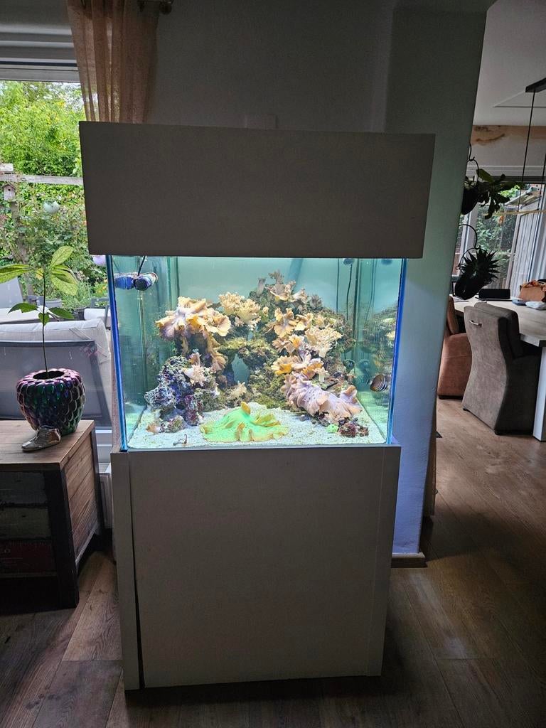 Zee aquarium, Ophalen, Zo goed als nieuw, Gevuld zeewateraquarium