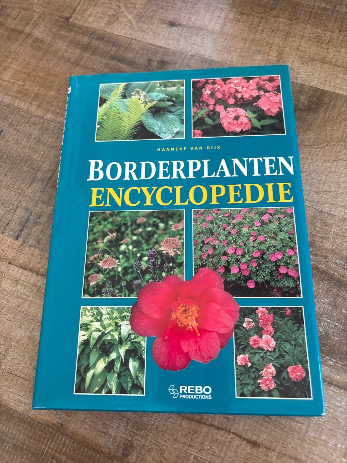 Borderplanten Encyclopedie - Hanneke van Dijk, Boeken, Ophalen of Verzenden, Zo goed als nieuw, Bloemen en Planten, Los deel