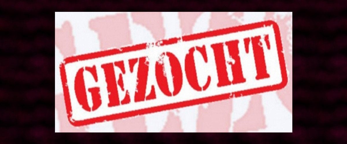 Gezocht partijen SSD m.2 vanaf 256GB en hoger, Computers en Software, Harde schijven, Ophalen of Verzenden, Zo goed als nieuw