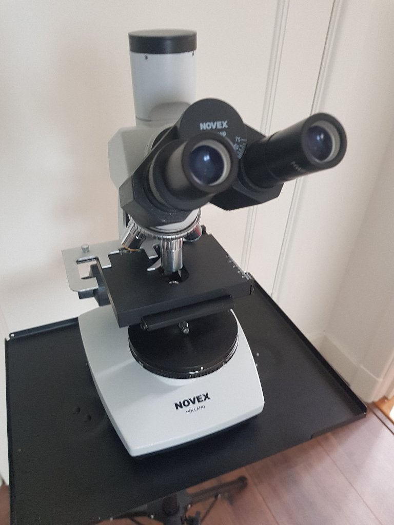 microscoop fase contrast NOVEX B, Ophalen of Verzenden, Zo goed als nieuw, 400x tot 1000x, Biologische microscoop