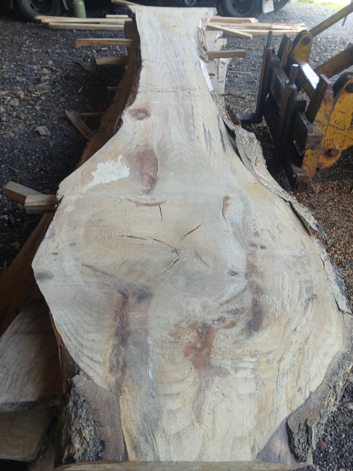 boomstam bladen/tafelbladen, Ophalen, Eiken, Plank, 50 mm of meer