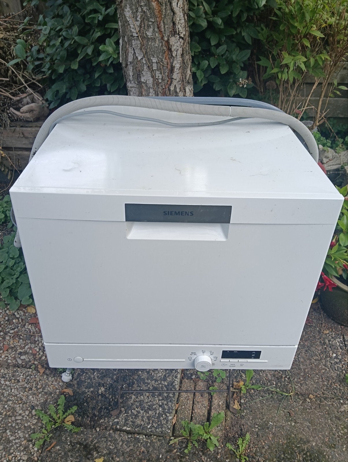 een compacte vaatwasser Miele, Ophalen, Gebruikt, Minder dan 85 cm, 45 tot 60 cm