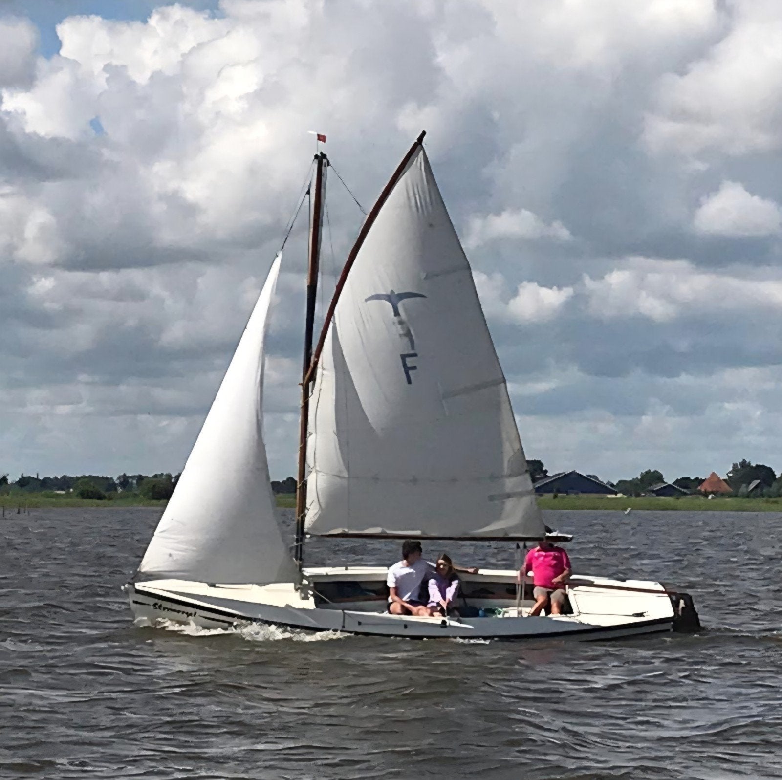 Polyester Valk met prima tent en verschillende zeilen, Ophalen, Gebruikt, Overige typen, Zeilboot