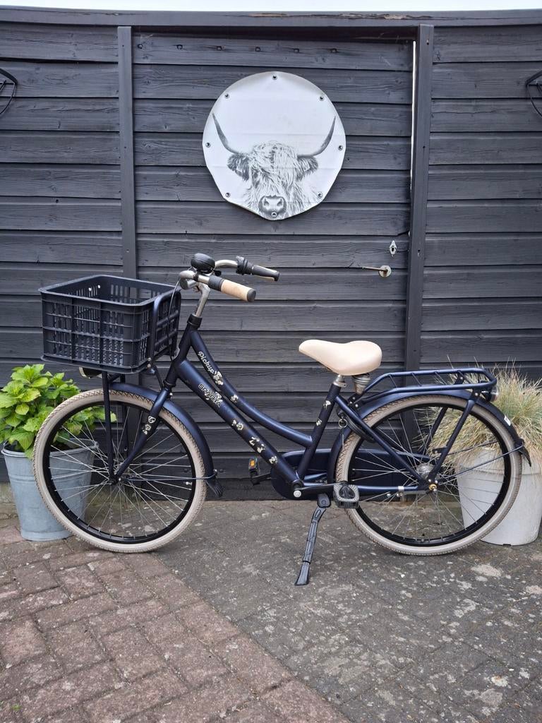 Sparta Pick up transport meisjesfiets kinderfiets 24 inch, Ophalen, Terugtraprem, 24 inch, Versnellingen