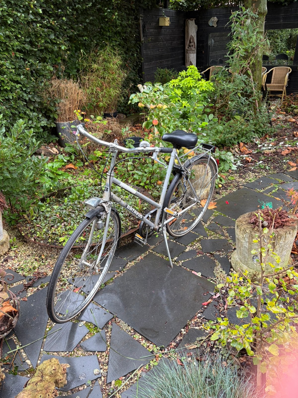 Batavus Damesfiets, Ophalen, Gebruikt, Velgrem, Handrem