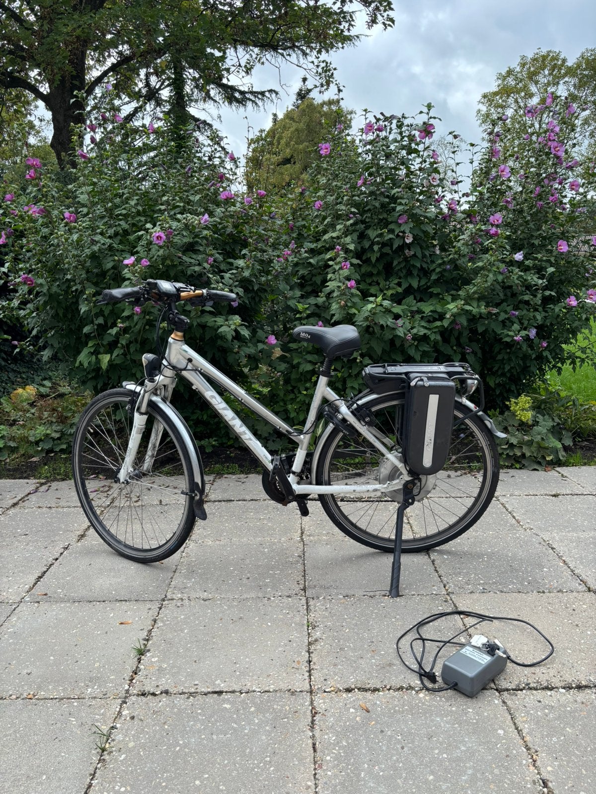 Elektrische damesfiets Giant, Fietsen en Brommers, Ophalen, Gebruikt, Giant, 50 tot 53 cm