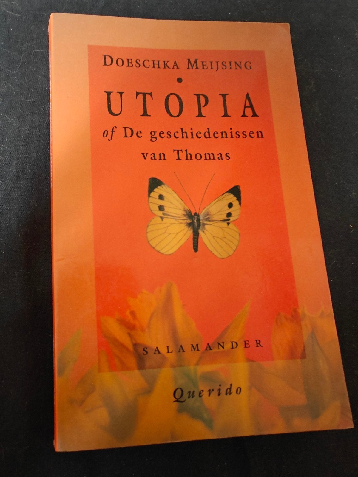 Utopia of De geschiedenissen van Thomas - Doeschka Meijsing, Ophalen of Verzenden, Gelezen, Doeschka Meijsing, Nederland