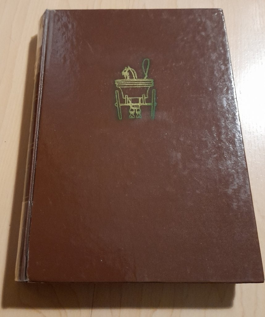 BELOOF ME MAAR NIETS  Bram van Heiningen, Ophalen of Verzenden, Gelezen