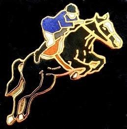 Springruiter pin- emaille, Verzenden, Nieuw, Sport, Speldje of Pin