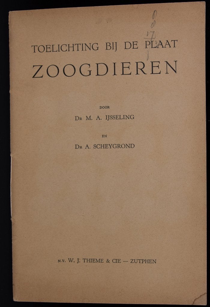 schoolplaat boekje    Nederlandse   Zoogdieren, Antiek en Kunst, Antiek | Schoolplaten, Ophalen of Verzenden, Natuur en Biologie