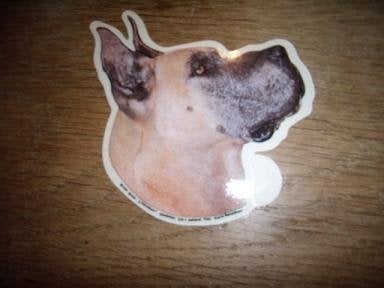 Hondenras sticker Duitse Dog - Great Dean shaped 9 x 11 cm, Ophalen of Verzenden, Zo goed als nieuw, Bedrijf of Vereniging